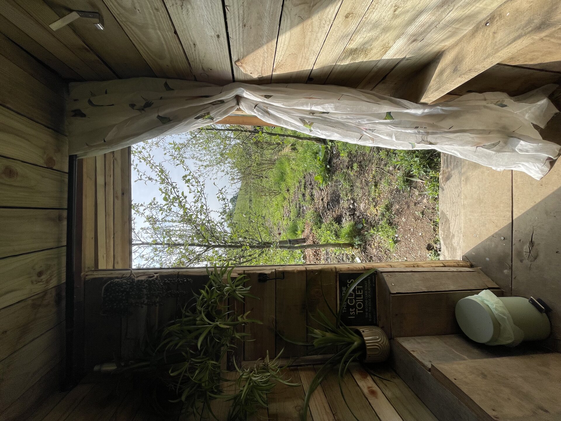 The 1st Class Toilet — a compost loo with a view out to the trees